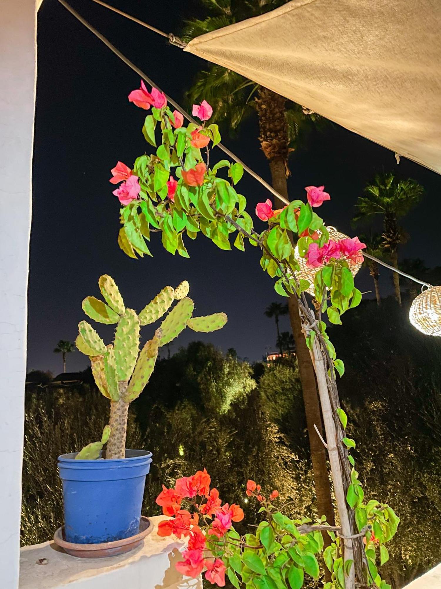 מרקש Riad Elli Marrakech מראה חיצוני תמונה