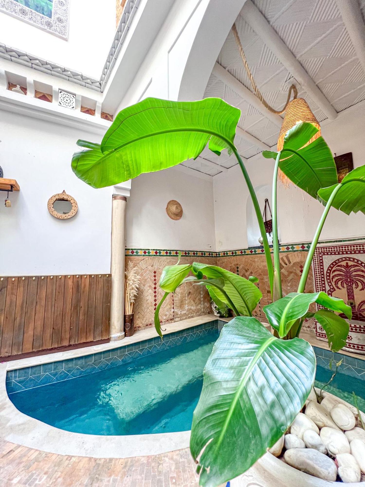 מרקש Riad Elli Marrakech מראה חיצוני תמונה